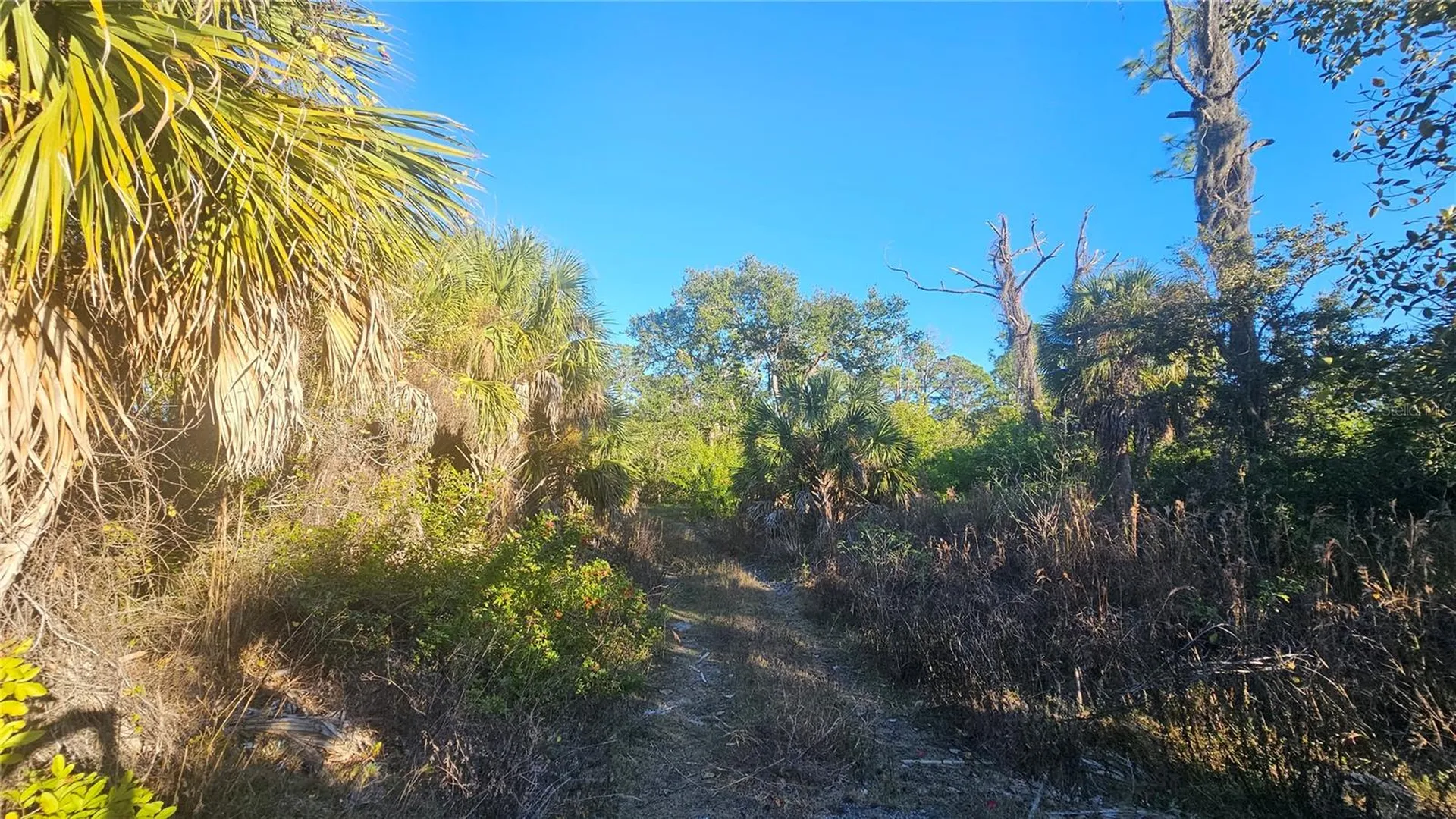 1253 Casper Street Port Charlotte FL 33953