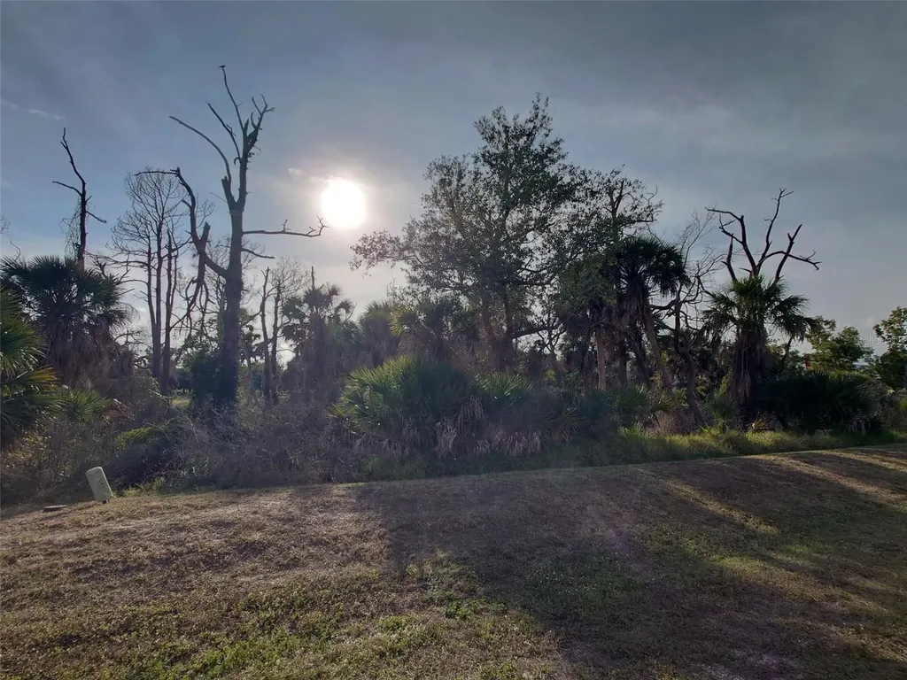 10071 Creekside Drive Placida FL 33946