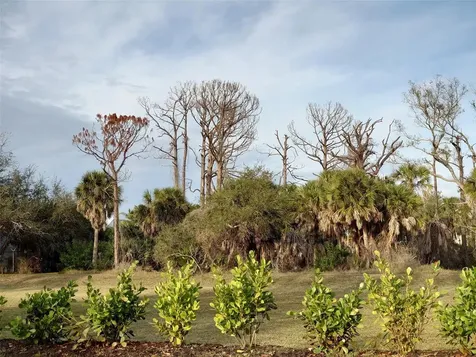 10071 Creekside Drive Placida FL 33946
