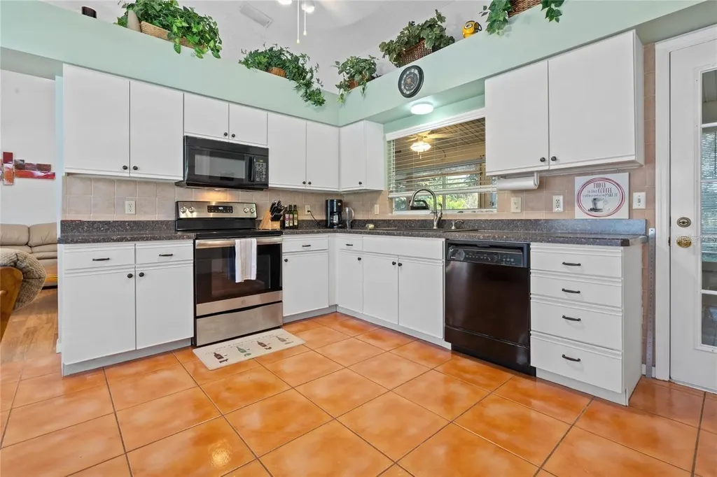 25300 Hibiscus Street Leesburg FL 34748