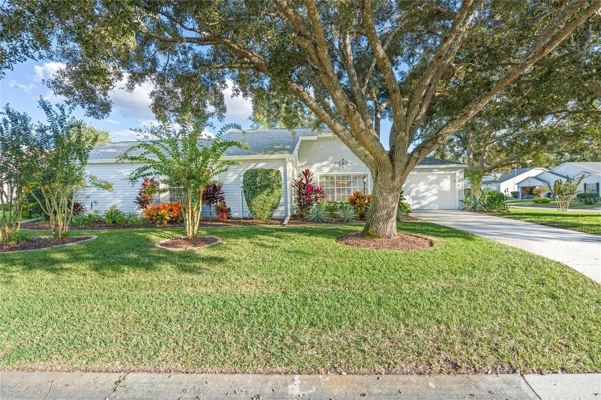 25300 Hibiscus Street Leesburg FL 34748