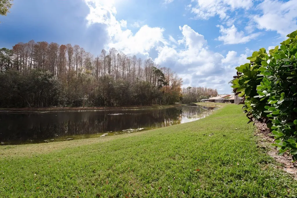 5590 Greyston Street Palm Harbor FL 34685