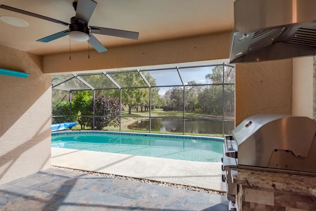 5590 Greyston Street Palm Harbor FL 34685