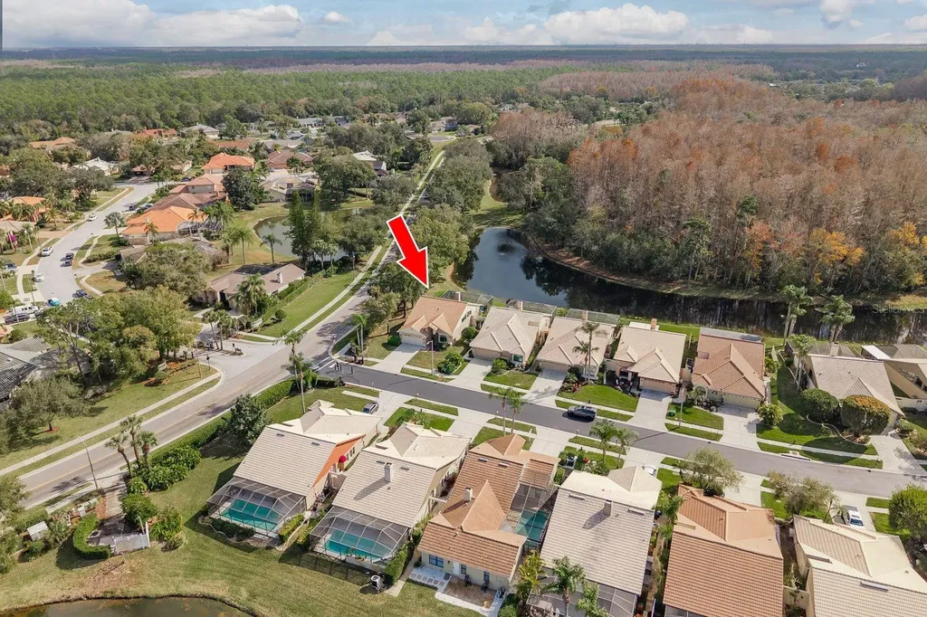 5590 Greyston Street Palm Harbor FL 34685