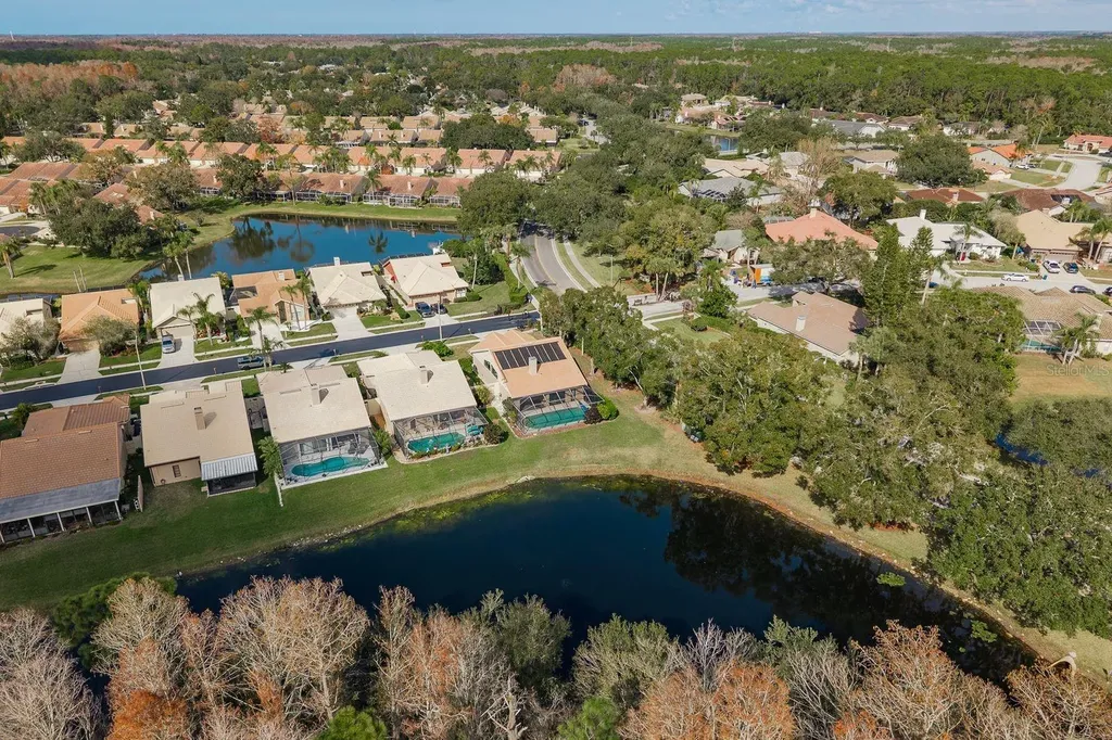 5590 Greyston Street Palm Harbor FL 34685