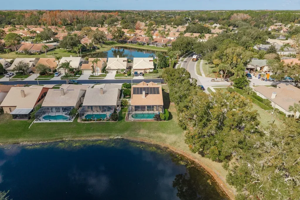 5590 Greyston Street Palm Harbor FL 34685