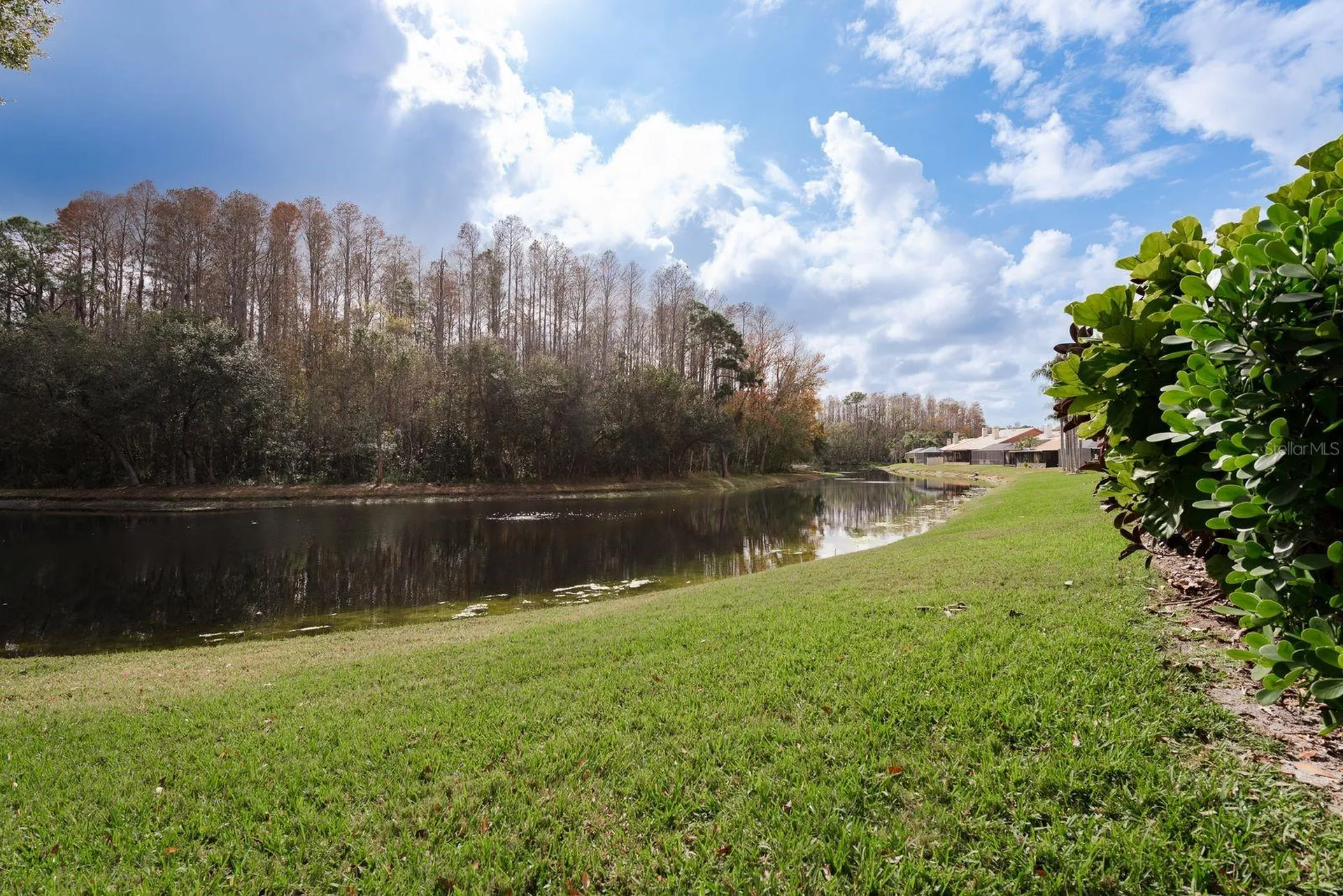 5590 Greyston Street Palm Harbor FL 34685
