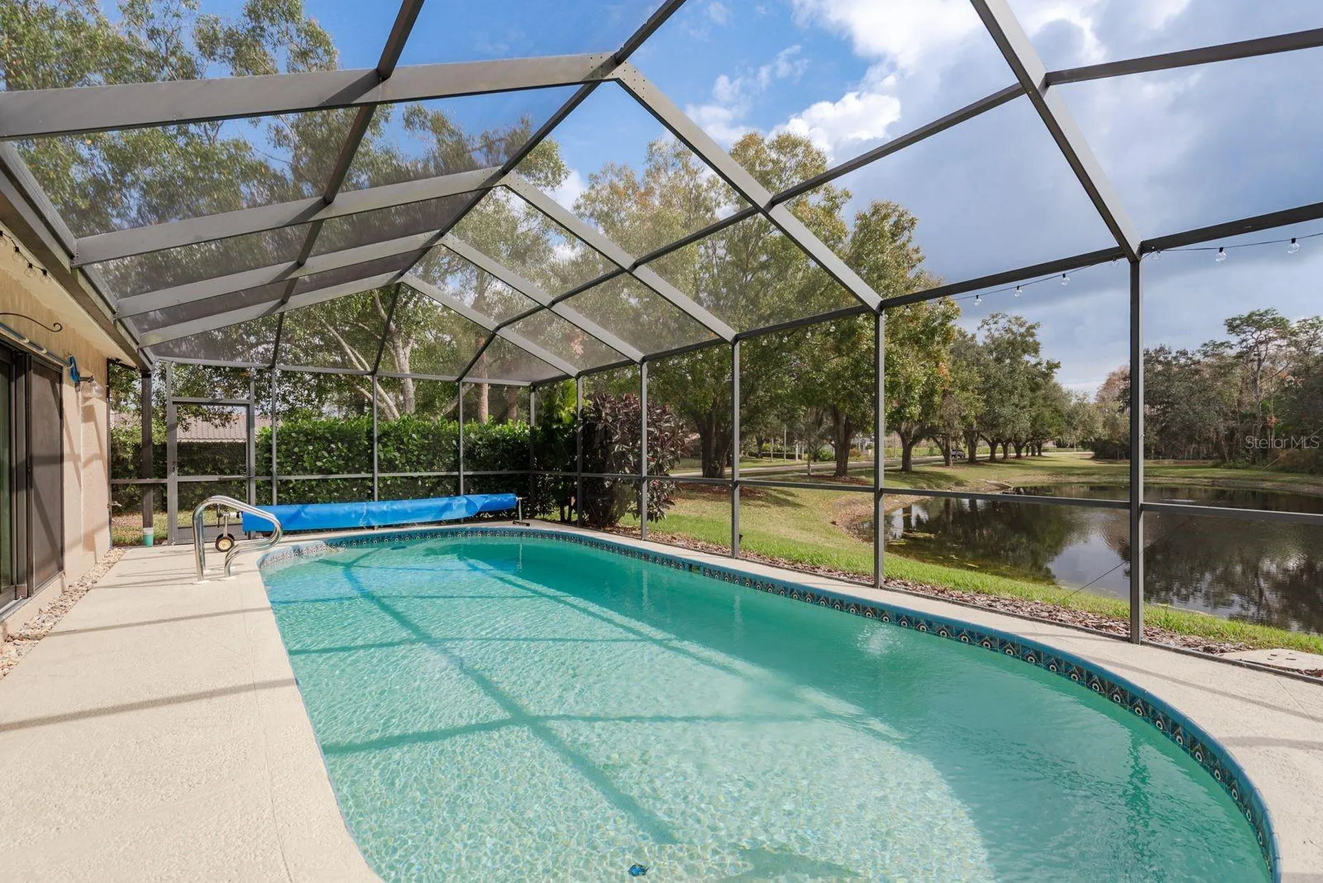 5590 Greyston Street Palm Harbor FL 34685