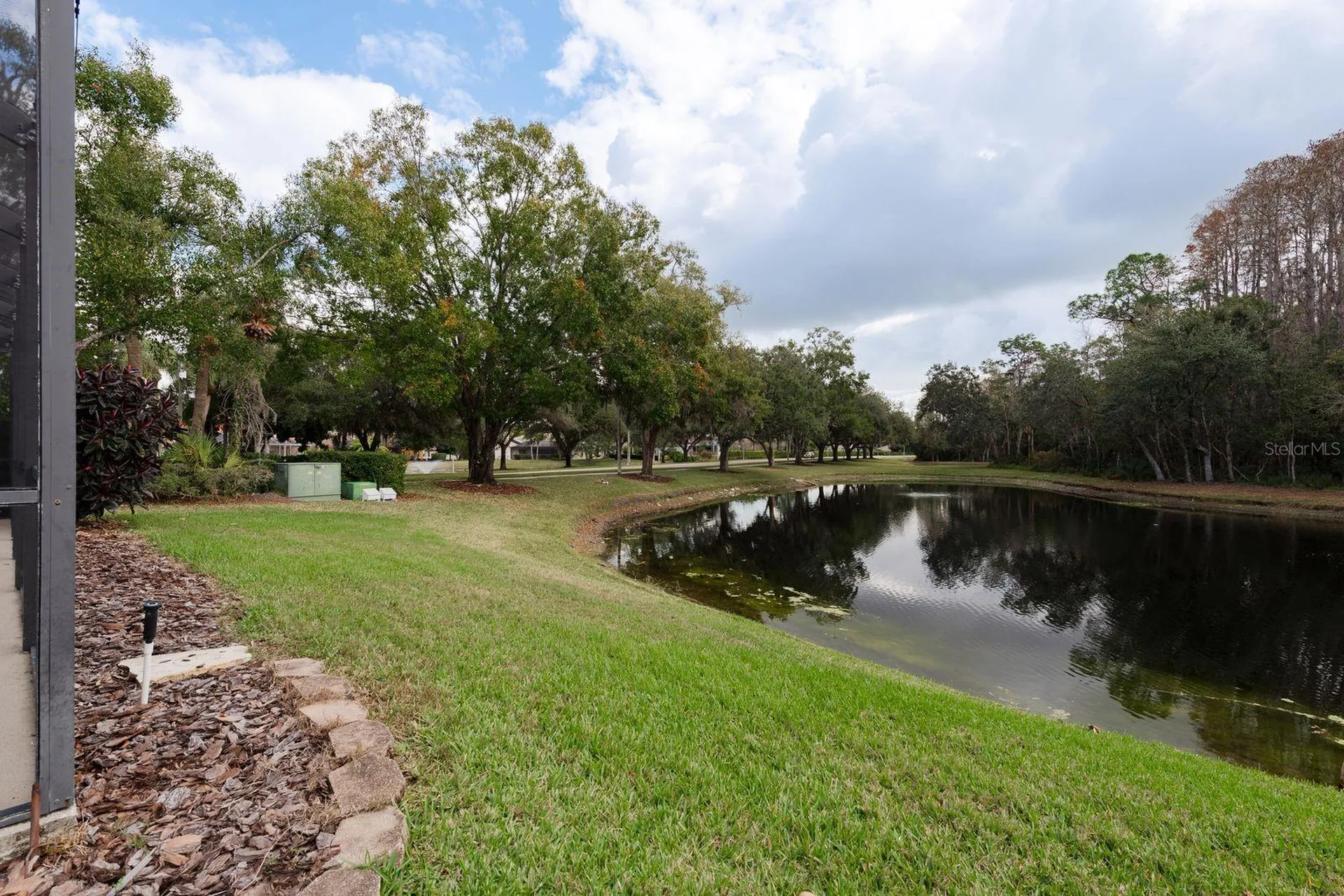 5590 Greyston Street Palm Harbor FL 34685