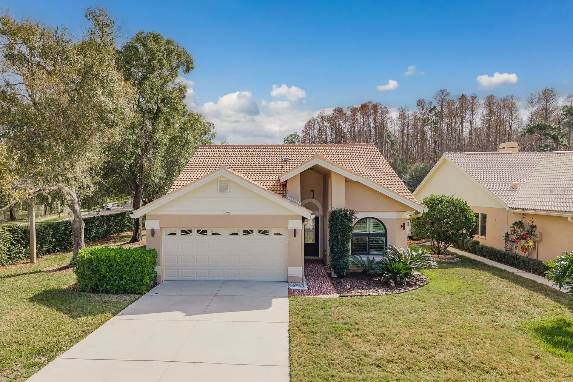5590 Greyston Street Palm Harbor FL 34685