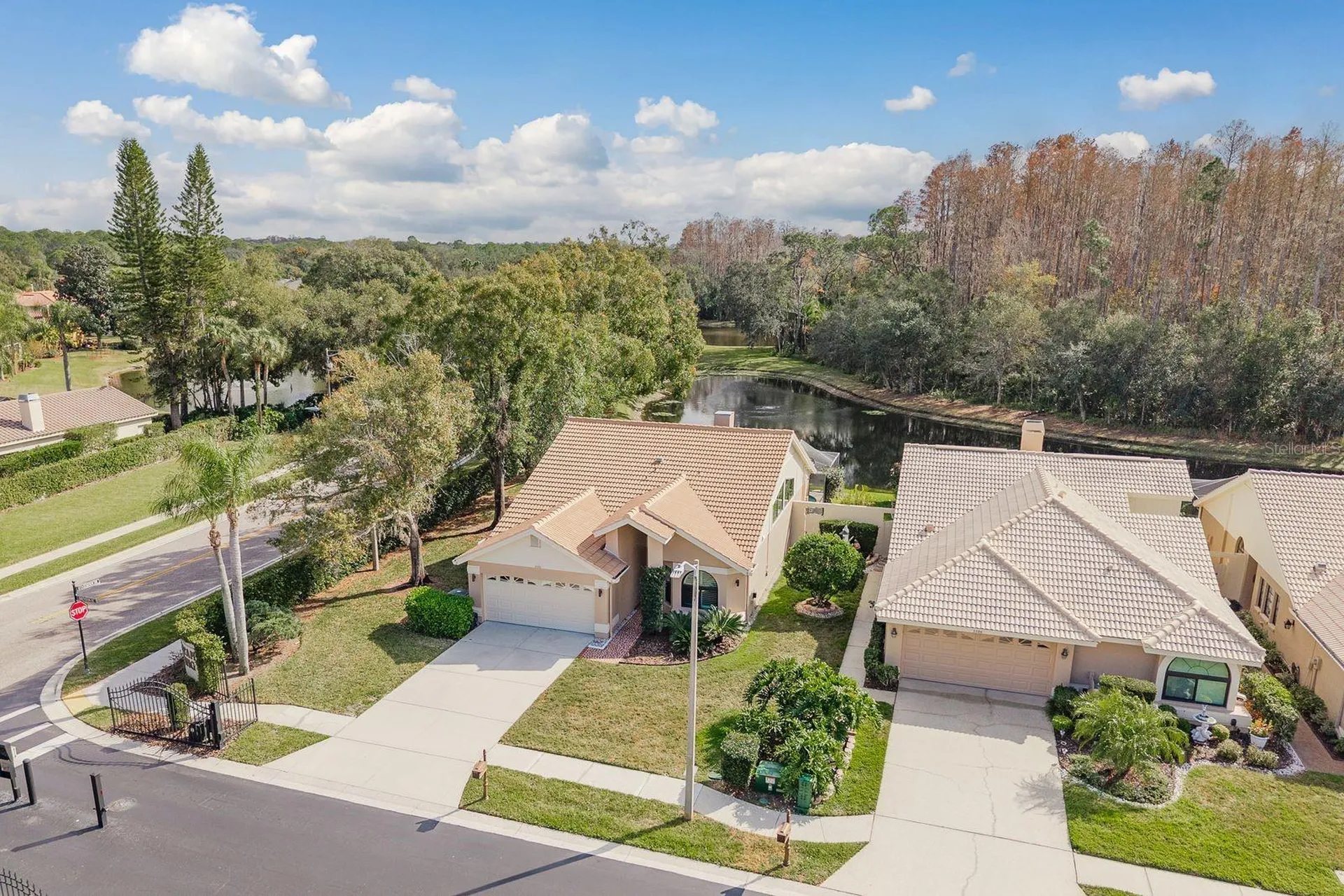5590 Greyston Street Palm Harbor FL 34685