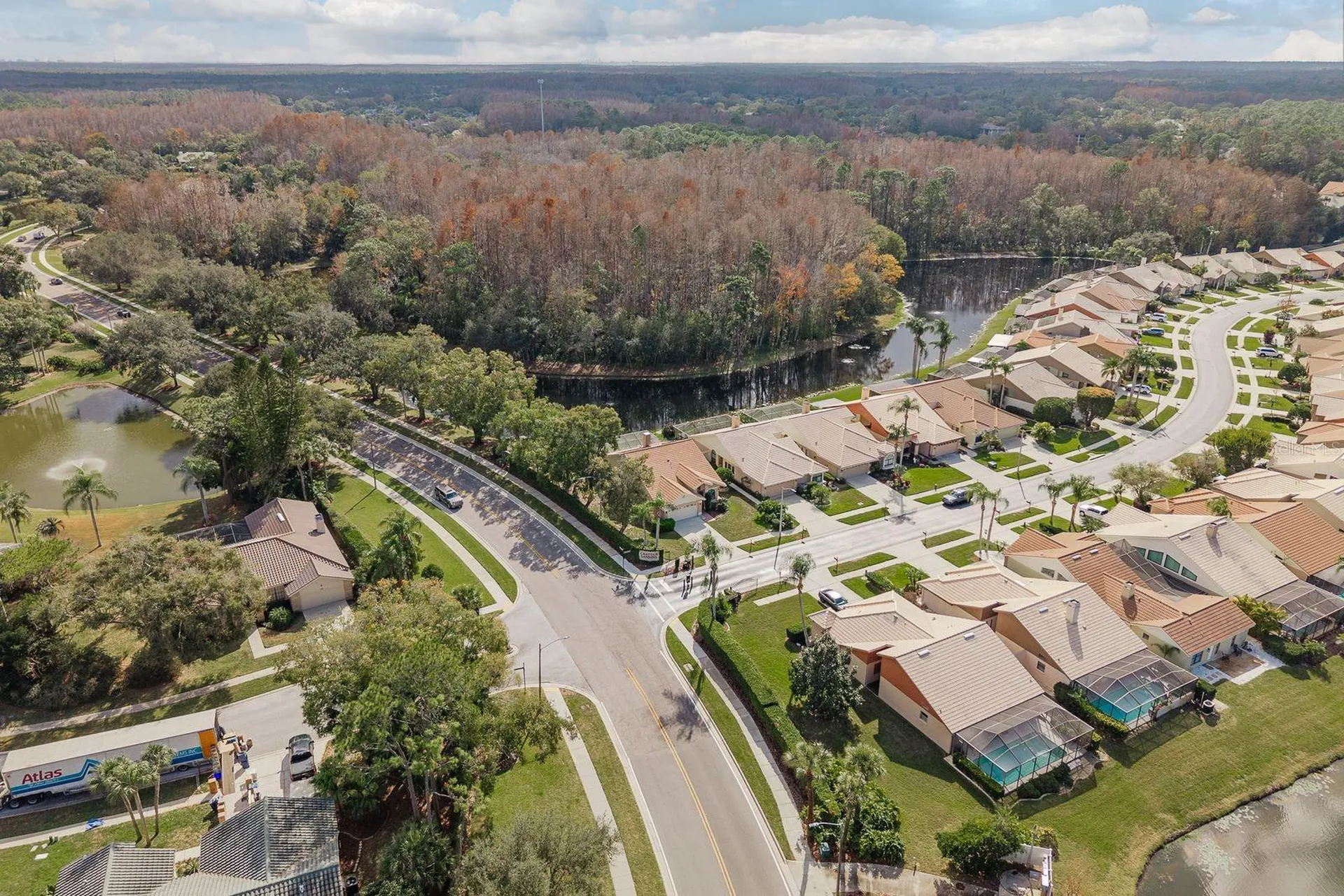 5590 Greyston Street Palm Harbor FL 34685
