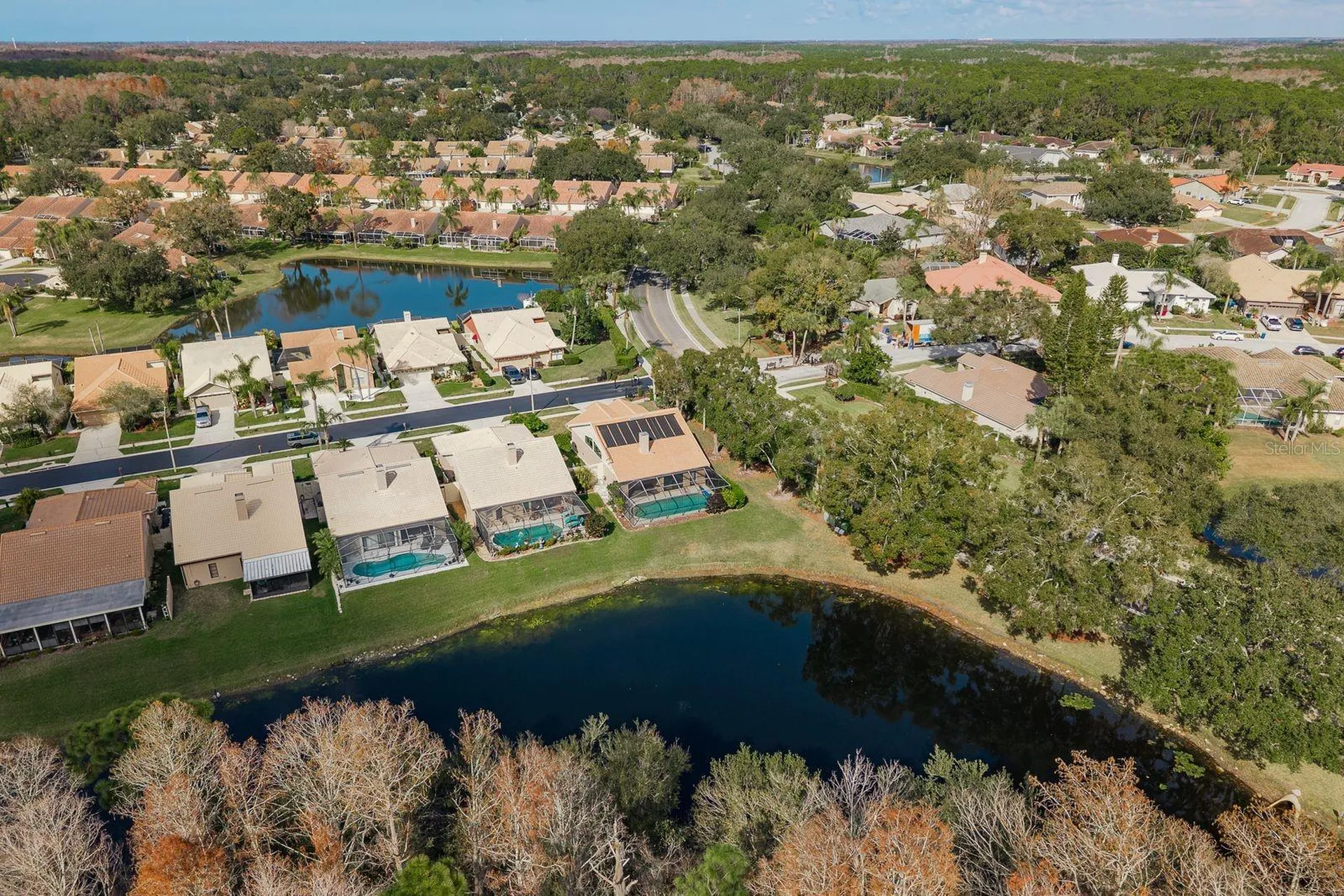 5590 Greyston Street Palm Harbor FL 34685