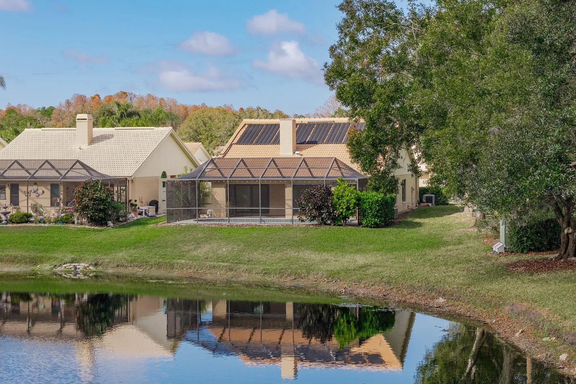 5590 Greyston Street Palm Harbor FL 34685