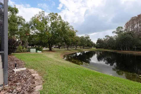 5590 Greyston Street Palm Harbor FL 34685