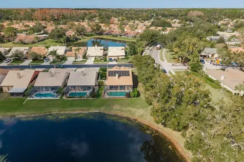 5590 Greyston Street Palm Harbor FL 34685