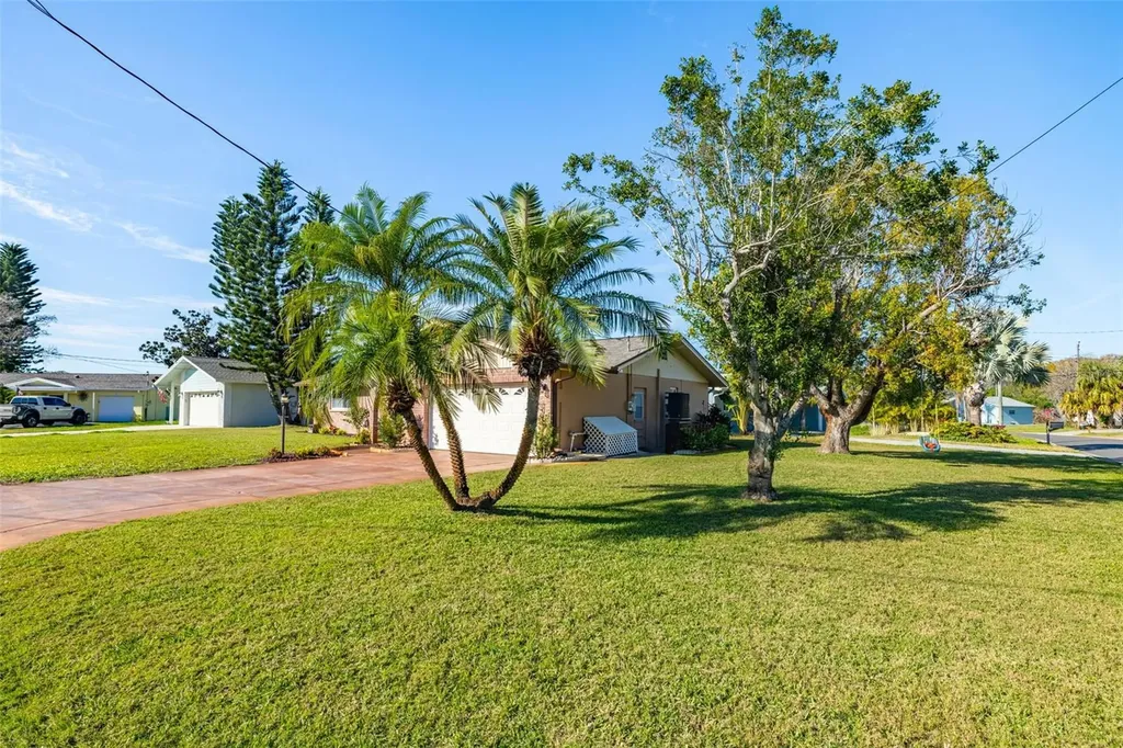 314 Circle Drive Palm Harbor FL 34683