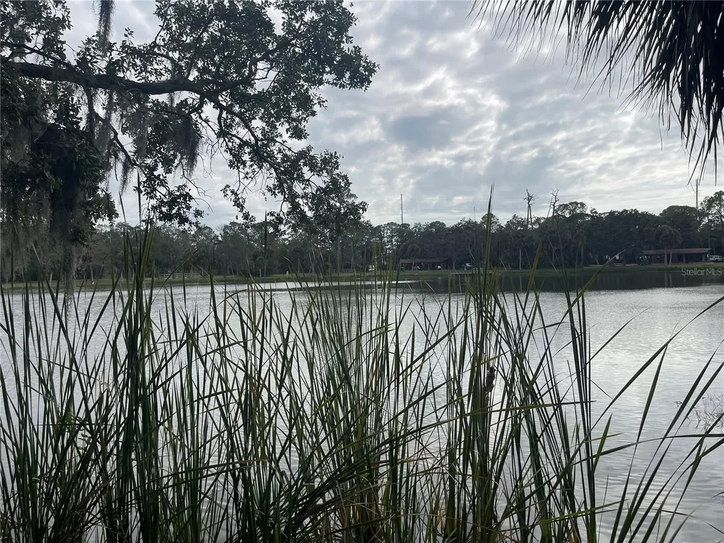 124 Dogwood Circle Seminole FL 33777