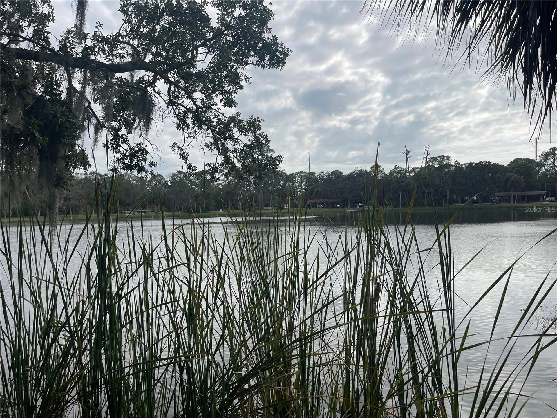 124 Dogwood Circle Seminole FL 33777
