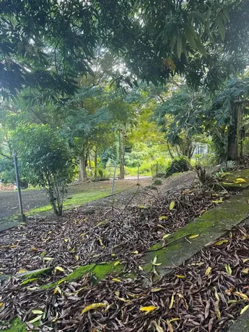 185 Km 6.1 Campo Rico Road Canovanas PR 00729