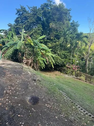 185 Km 6.1 Campo Rico Road Canovanas PR 00729