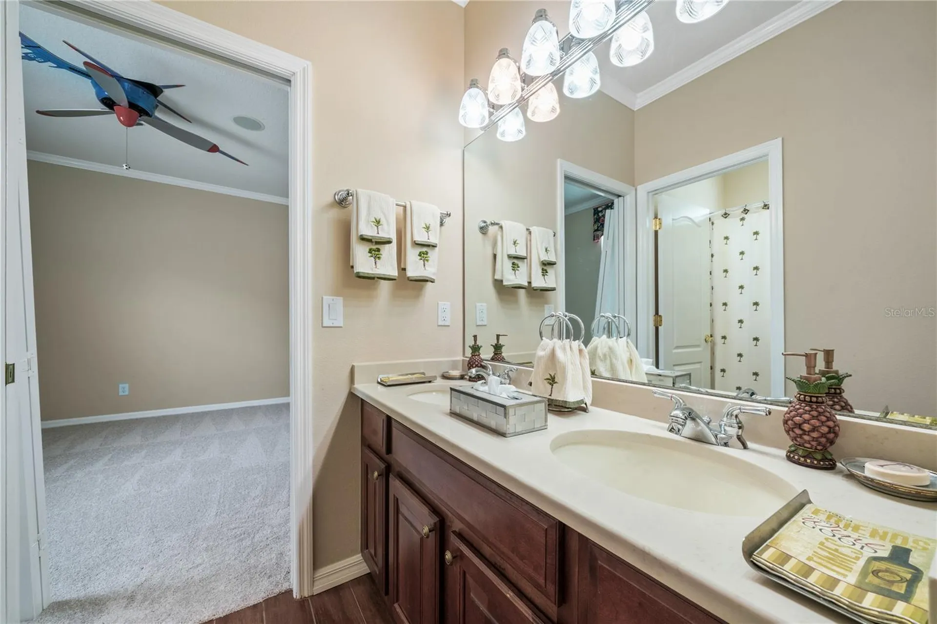 11610 Grove Arcade Drive Riverview FL 33569