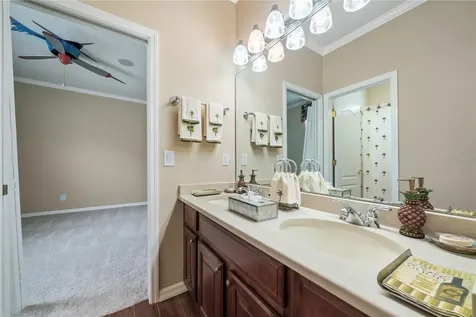 11610 Grove Arcade Drive Riverview FL 33569