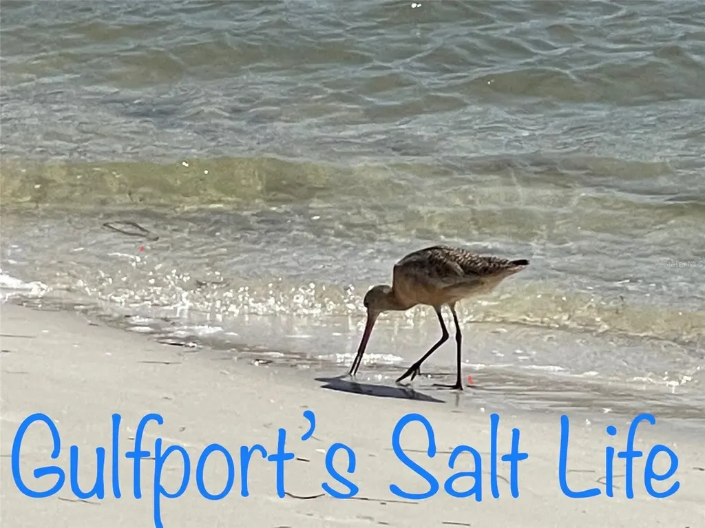5980 Shore Boulevard S Gulfport FL 33707