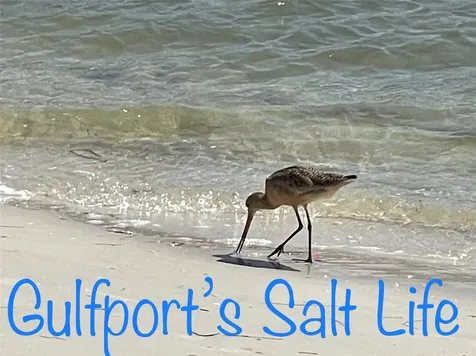 5980 Shore Boulevard S Gulfport FL 33707