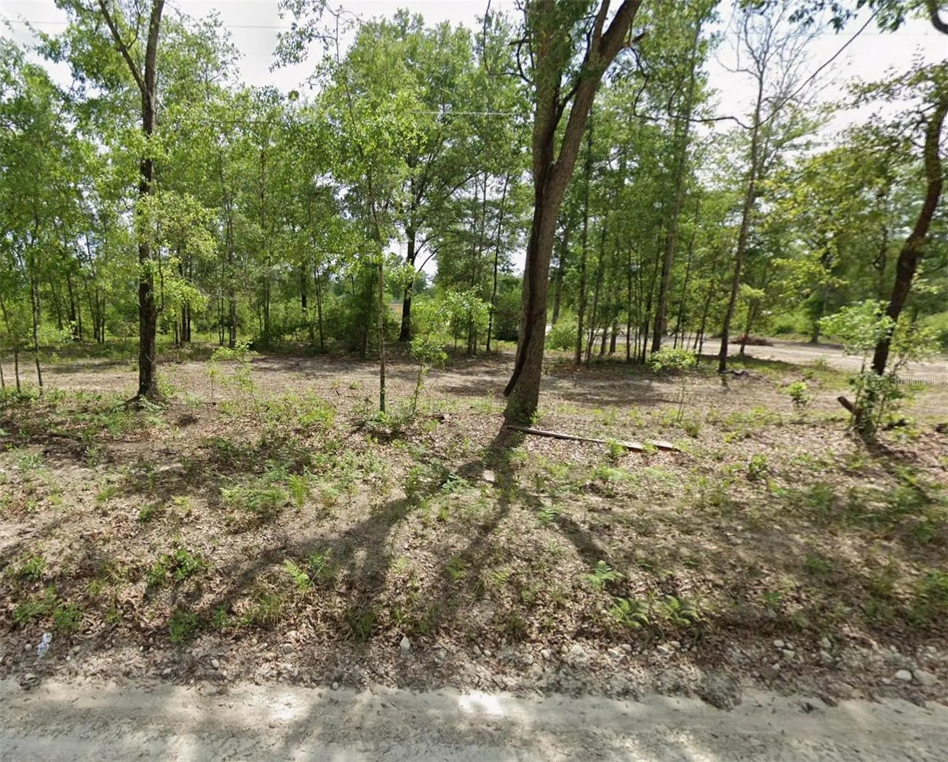SW Daisy Road Lake City FL 32024