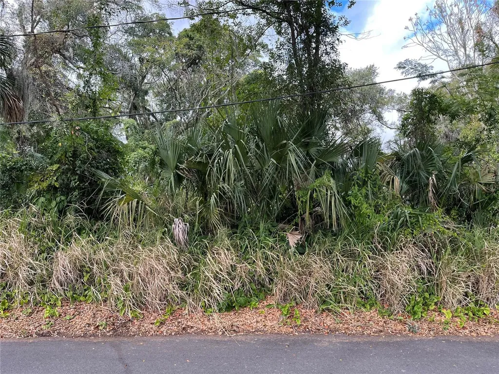 0 E Fruitland Street Fruitland Park FL 34731