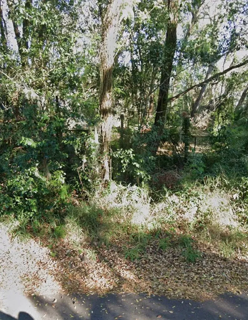 0 E Fruitland Street Fruitland Park FL 34731