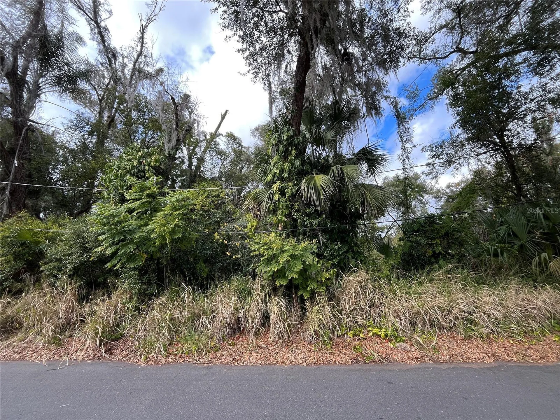 0 E Fruitland Street Fruitland Park FL 34731