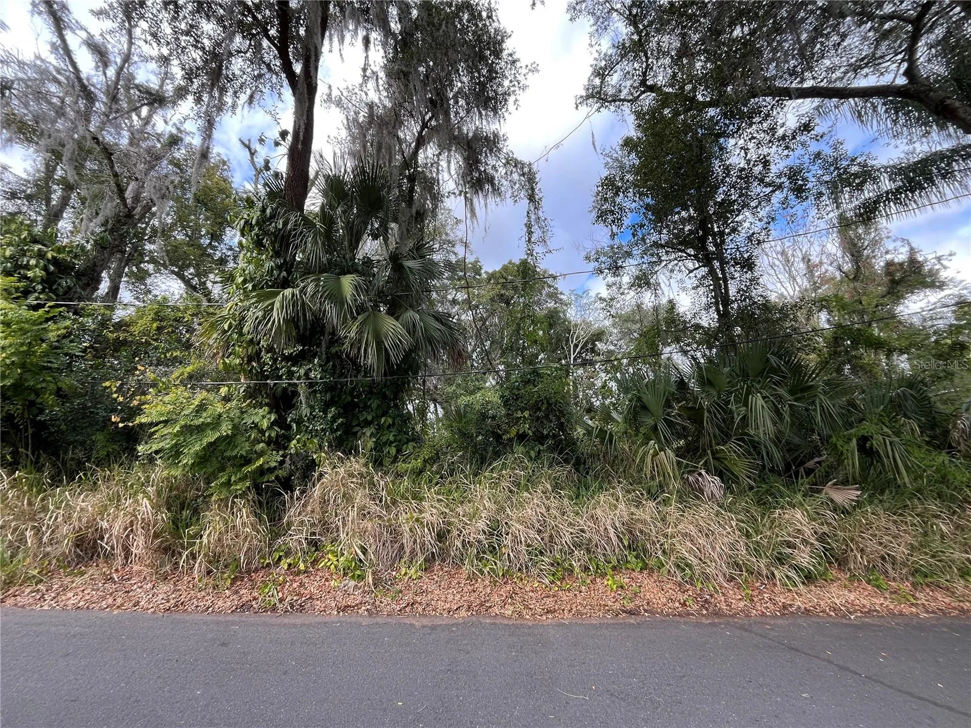 0 E Fruitland Street Fruitland Park FL 34731