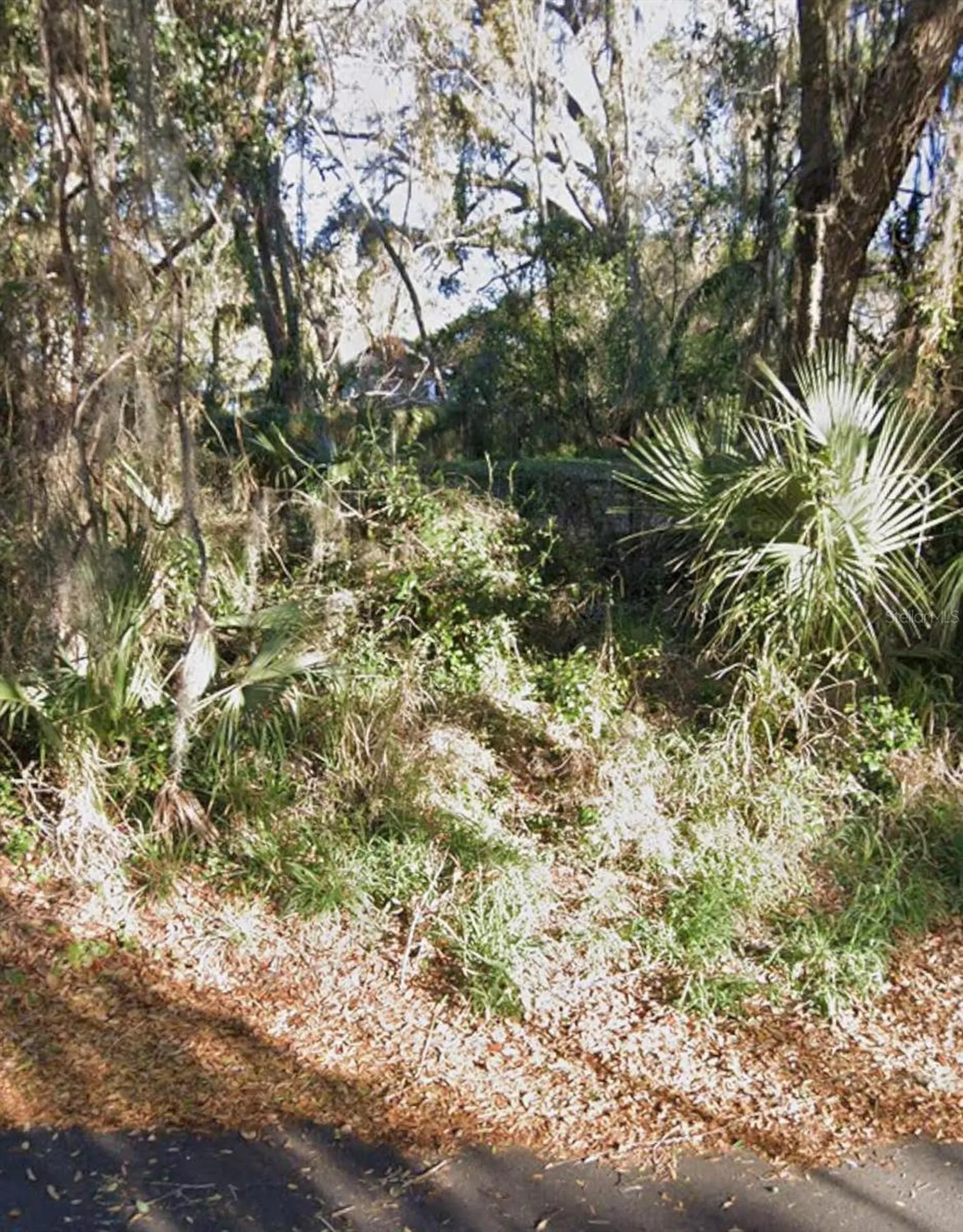 0 E Fruitland Street Fruitland Park FL 34731