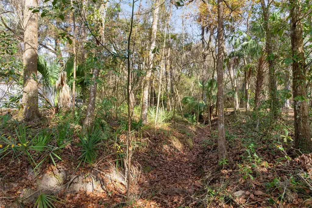 5248 Neff Lake Road Brooksville FL 34601