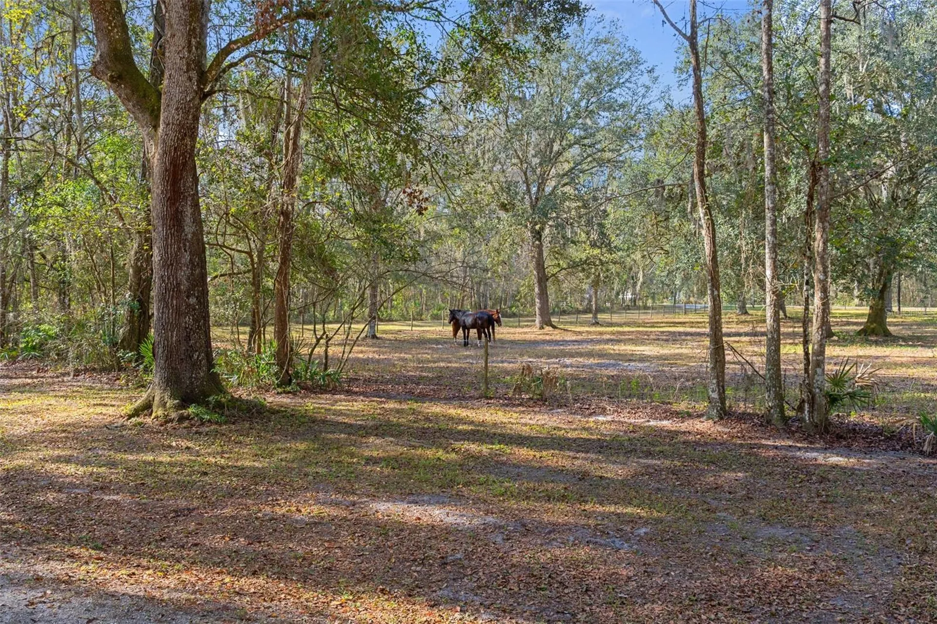 5248 Neff Lake Road Brooksville FL 34601