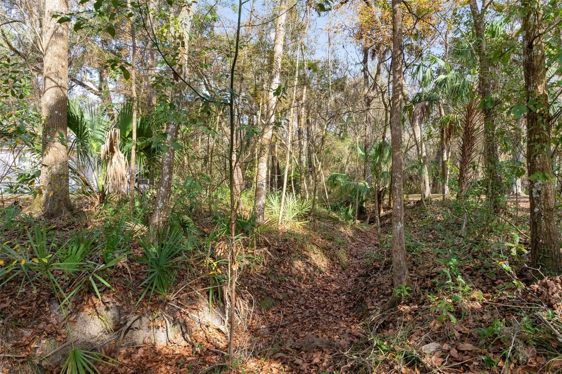 5248 Neff Lake Road Brooksville FL 34601