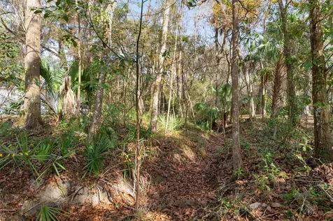 5248 Neff Lake Road Brooksville FL 34601