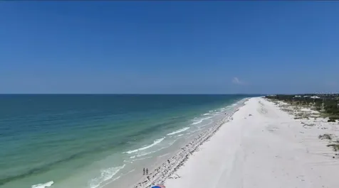 880 Mandalay Avenue Clearwater Beach FL 33767