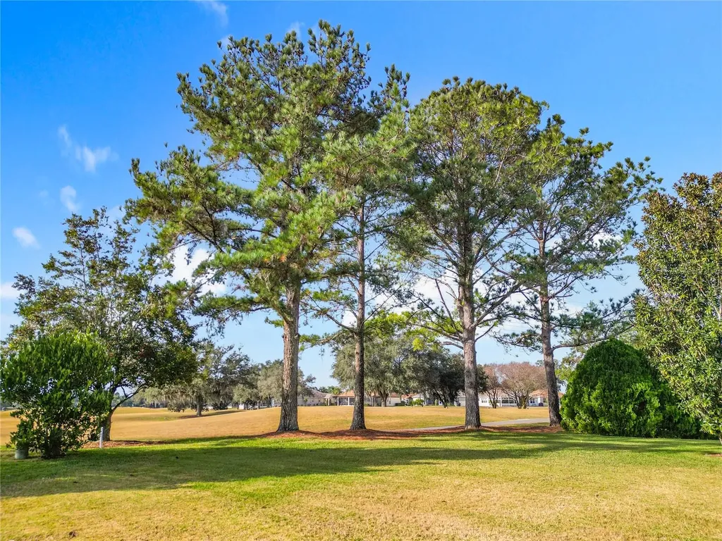 16816 SE 85th Sapelo Court The Villages FL 32162