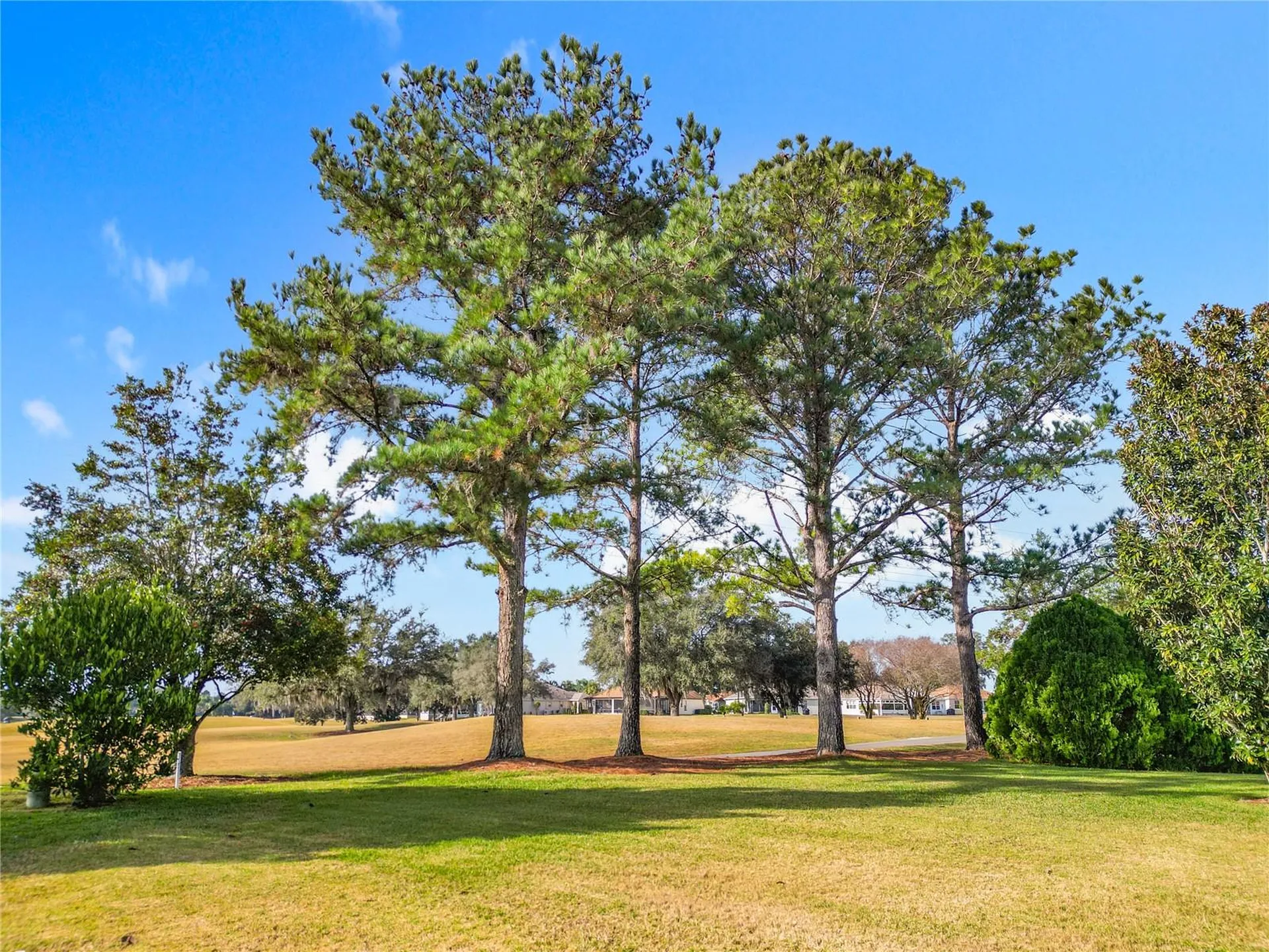 16816 SE 85th Sapelo Court The Villages FL 32162