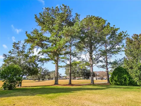 16816 SE 85th Sapelo Court The Villages FL 32162