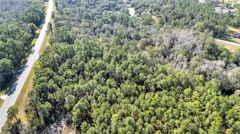 Commonwealth Avenue N Polk City FL 33868