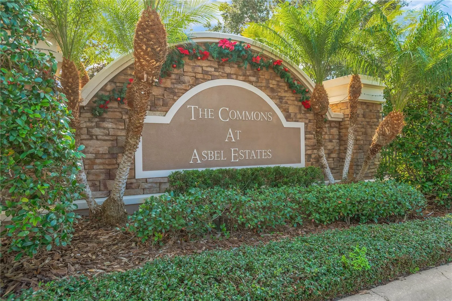 18345 Fish Loop Land O Lakes FL 34638