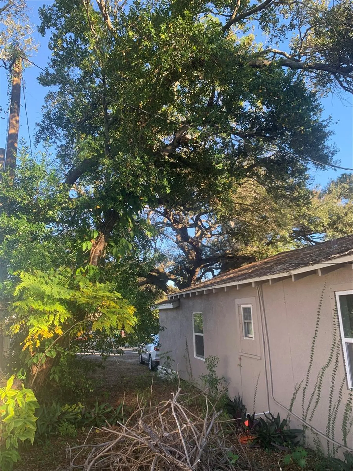 1880 Sylvan Drive Clearwater FL 33755