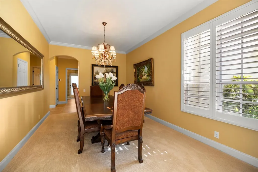 4165 Moreno Drive Palm Harbor FL 34685