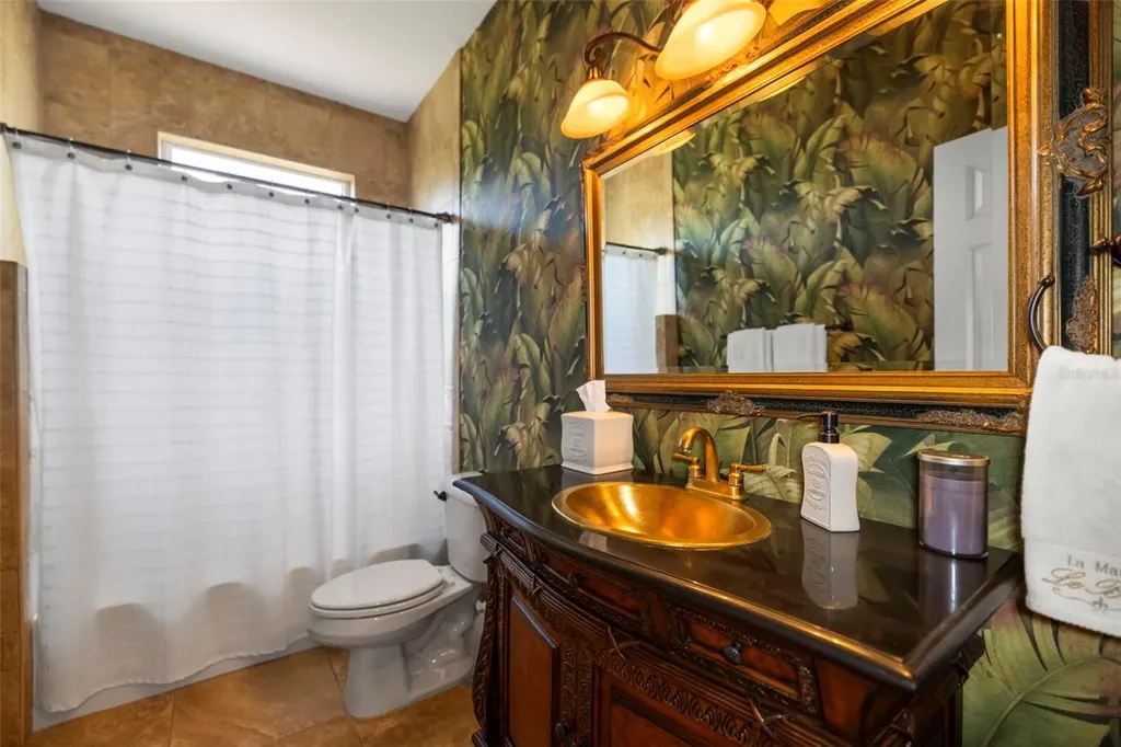 4165 Moreno Drive Palm Harbor FL 34685