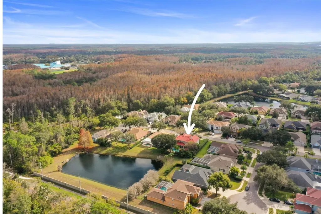 4165 Moreno Drive Palm Harbor FL 34685
