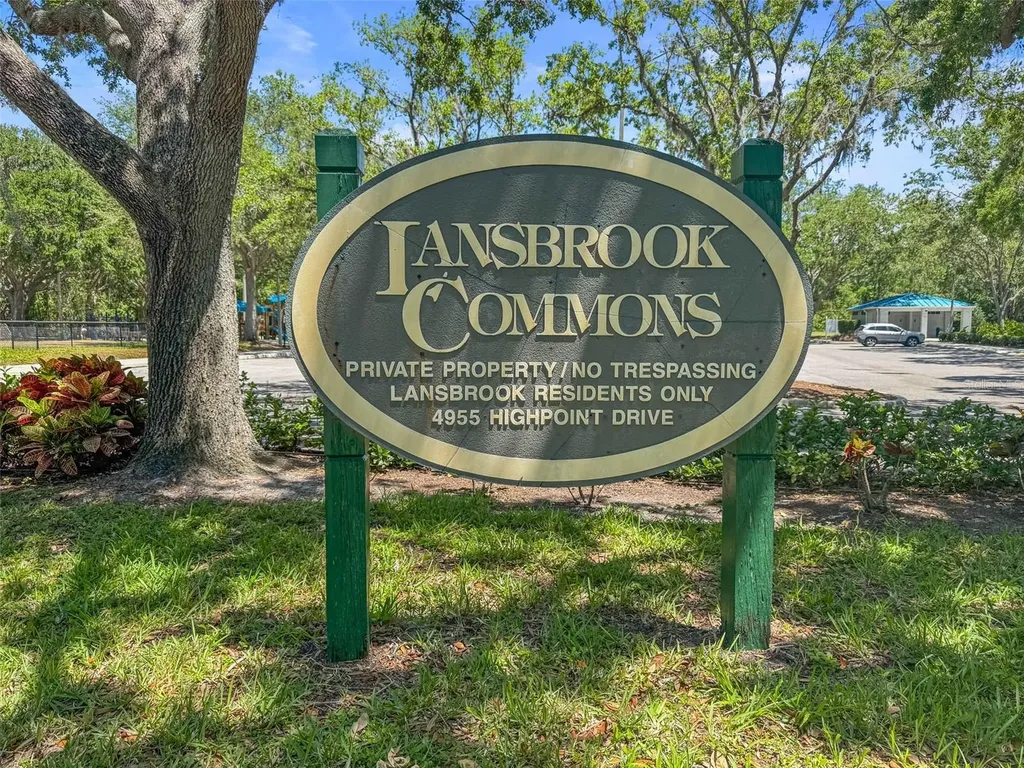 4165 Moreno Drive Palm Harbor FL 34685